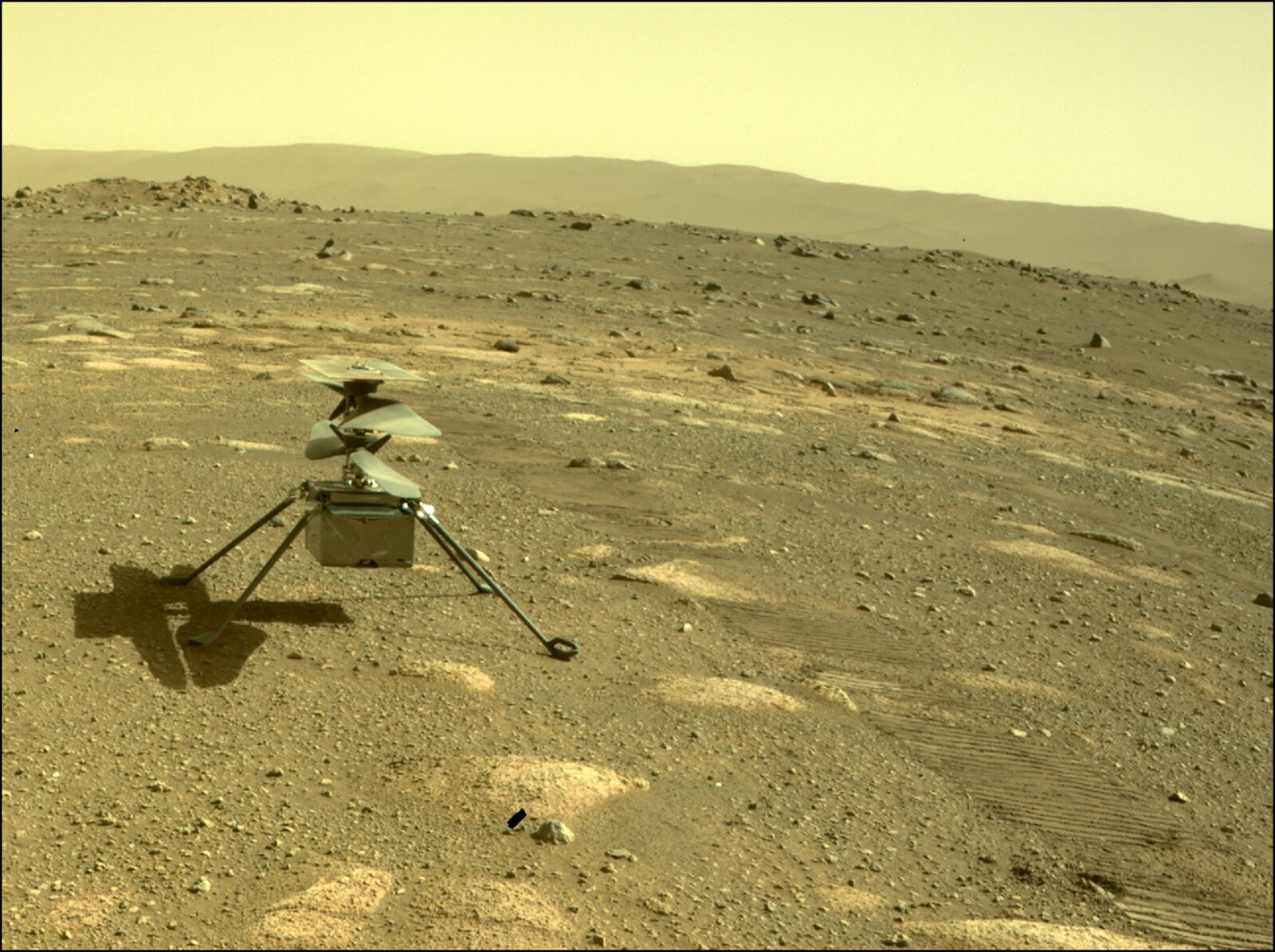 NASA's Ingenuity helicopter survives first freezing night on Mars